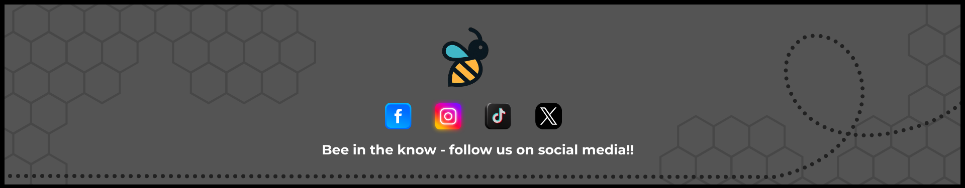 Fizbee footer with social media links and company branding